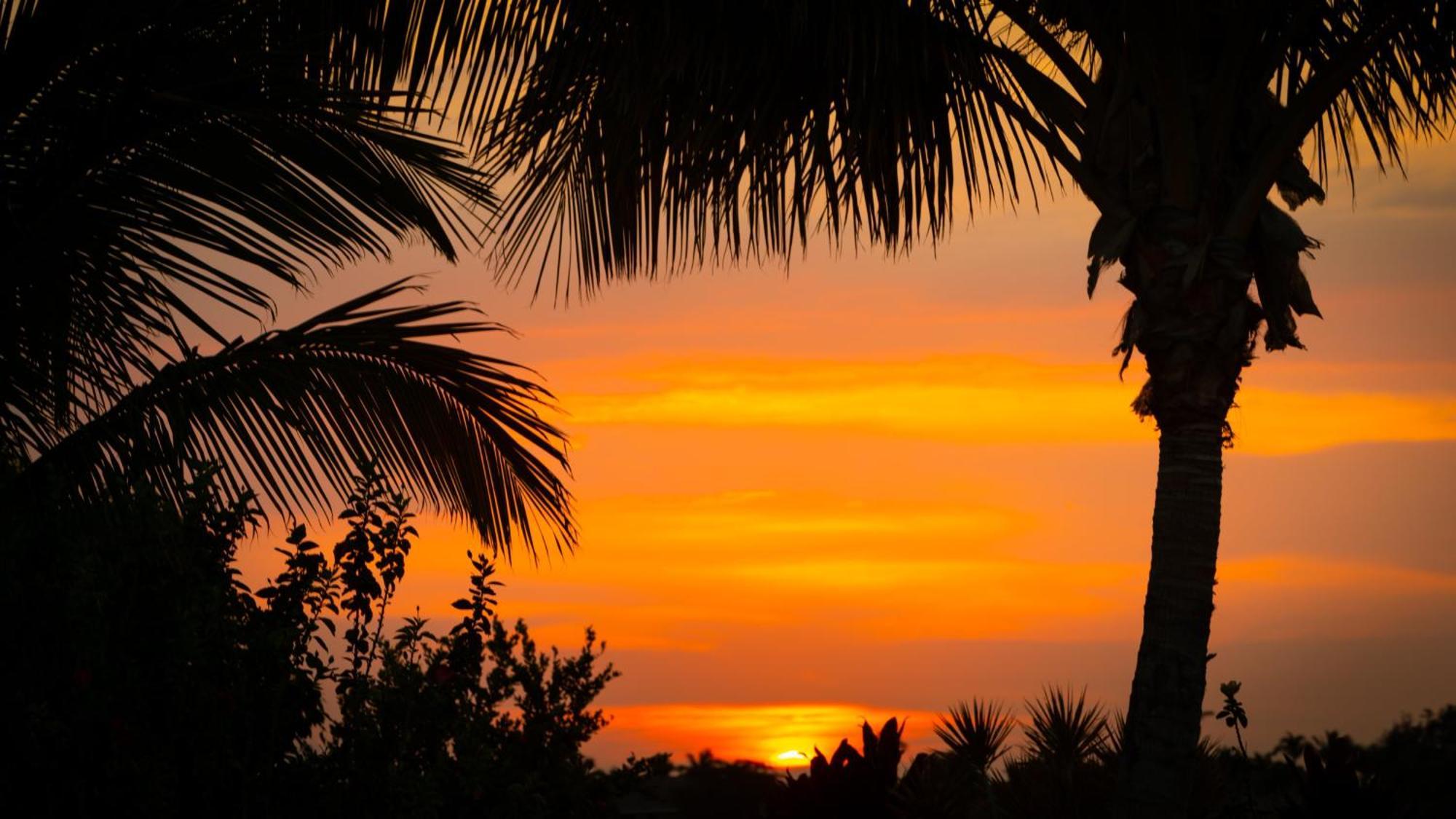 Starry Nights Dreamy 4Br Ainamalu Home With Mountain View Waikoloa Bagian luar foto