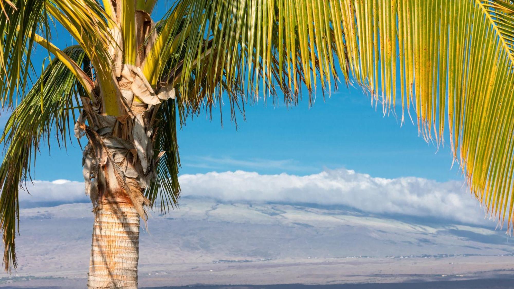 Starry Nights Dreamy 4Br Ainamalu Home With Mountain View Waikoloa Bagian luar foto