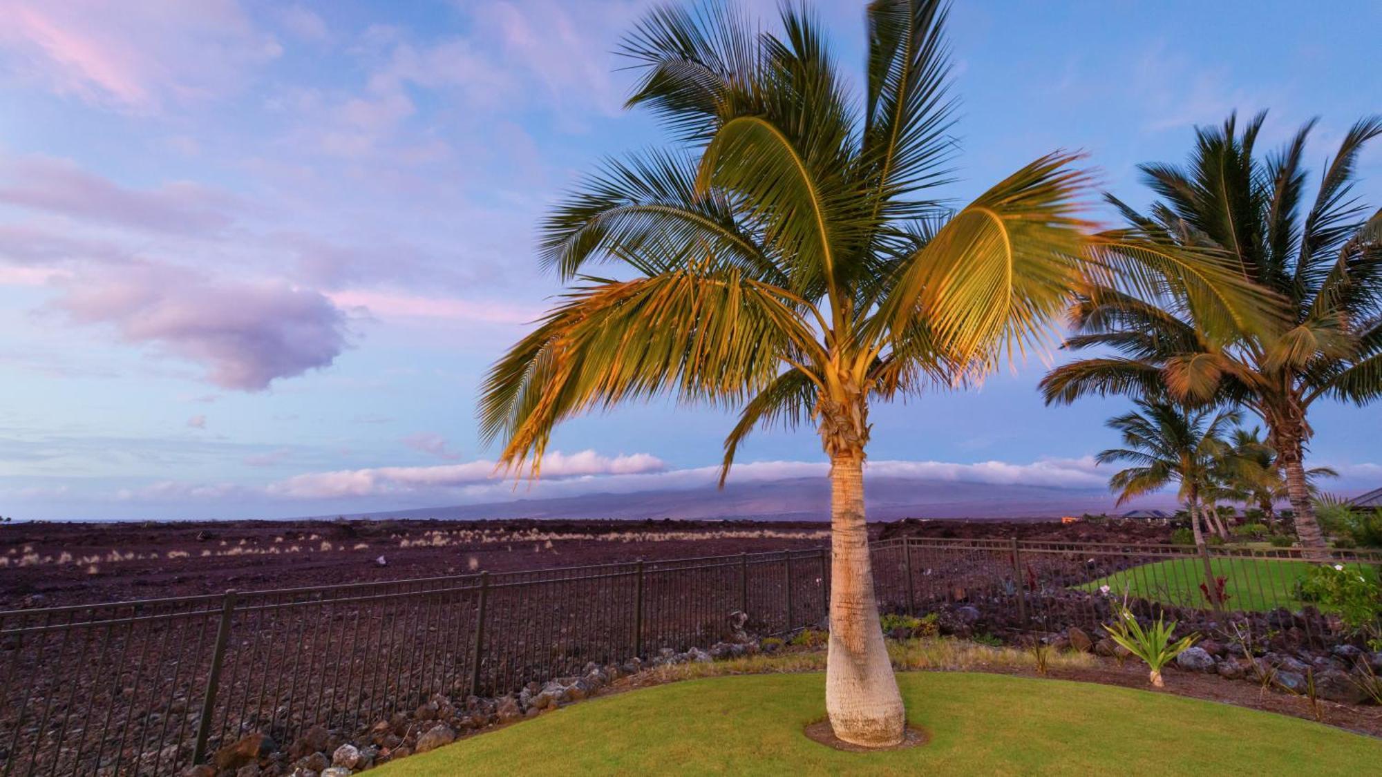 Starry Nights Dreamy 4Br Ainamalu Home With Mountain View Waikoloa Bagian luar foto